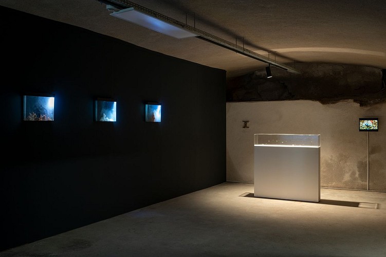 Le Creux de l'enfer - Centre d'art contemporain d'intérêt national