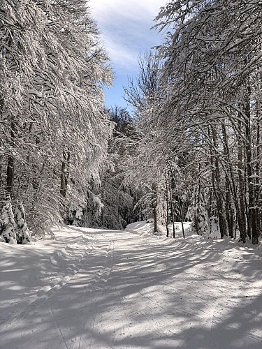 Nordic ski resort in Lachat