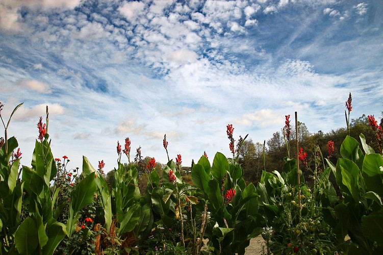 Jardin pour la Terre