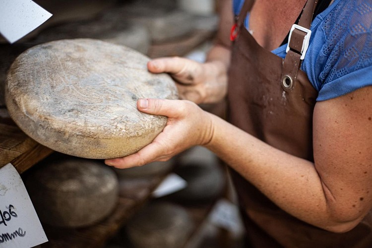 La Ferme des Molières