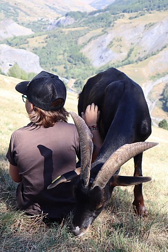 La fattoria di Molières