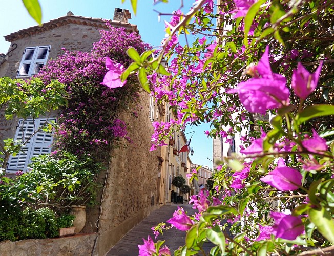 Medieval village of Gassin