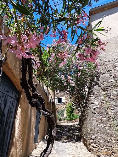 Village médiéval de Gassin