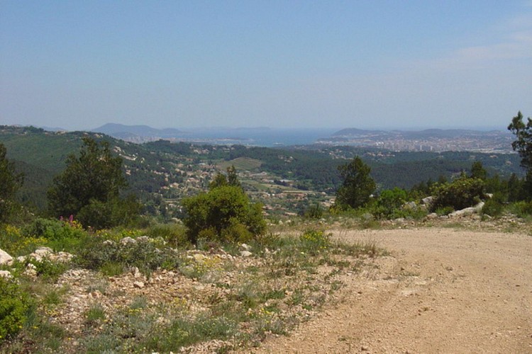 El fuerte del "Gros Cerveau"