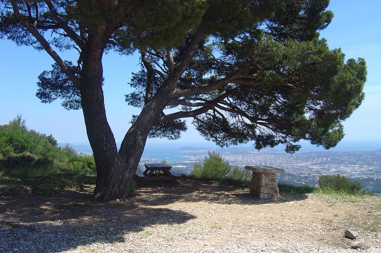 Das Waldmassiv des "Gros Cerveau"