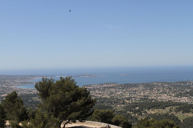 Das Waldmassiv des "Gros Cerveau"