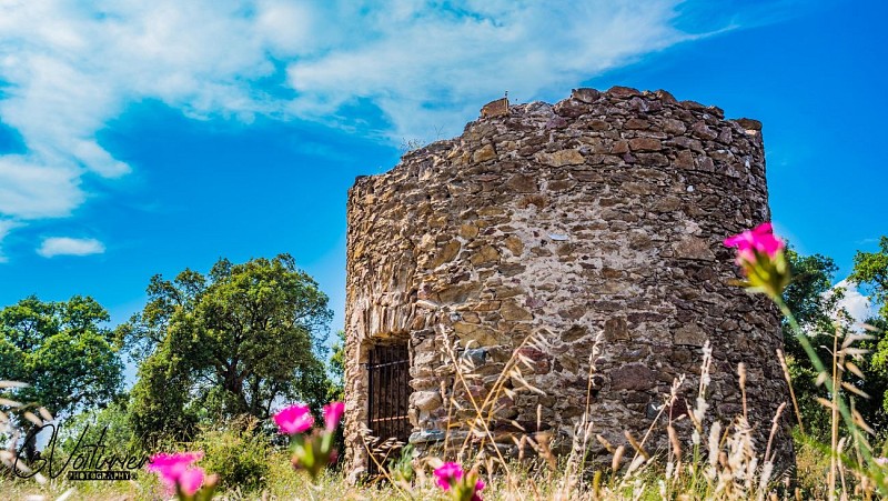 Windmill Brûlat