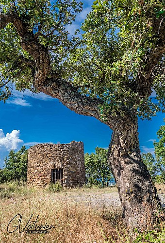 Windmill Brûlat