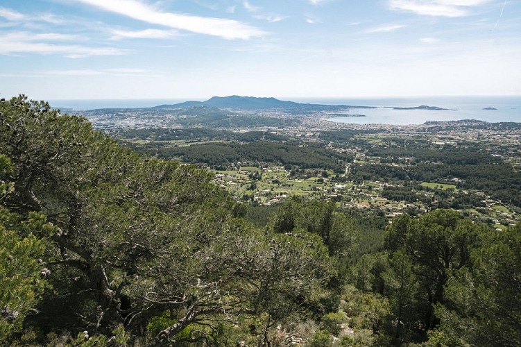 Massif du Gros Cerveau