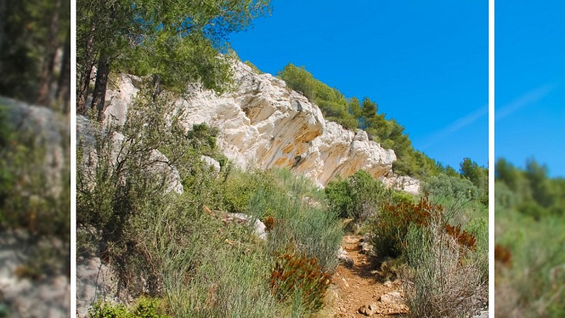 La Roca Curada