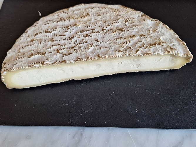 Saint-Faron Cheese Dairy