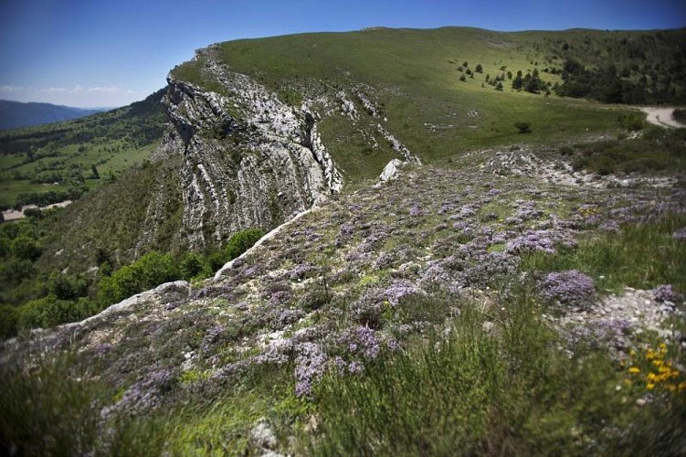 Réserve naturelle géologique de Haute-Provence