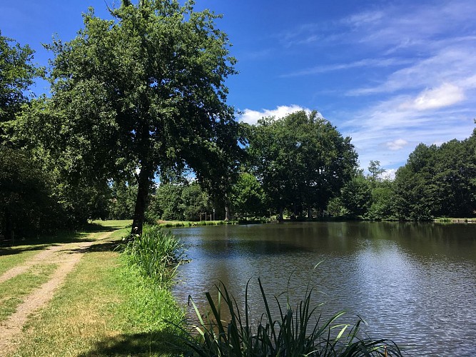 Domaine du Moulin du Fau