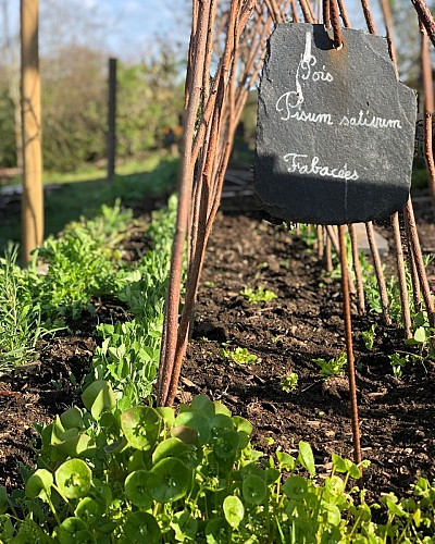 Etnobotanische tuin "Er was eens... een verhaaltjestuin"