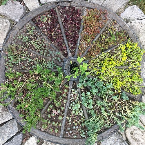 Etnobotanische tuin "Er was eens... een verhaaltjestuin"