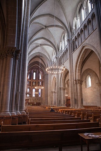 Kathedrale Saint-Pierre de Genève