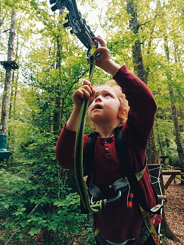 Tree climbing - Rénac Aventure
