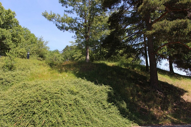 Motte Castrale de Queuille