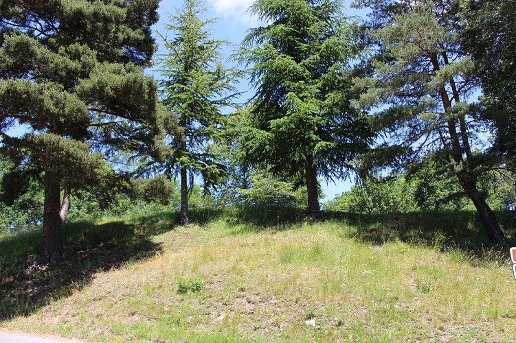 Motte Castrale de Queuille