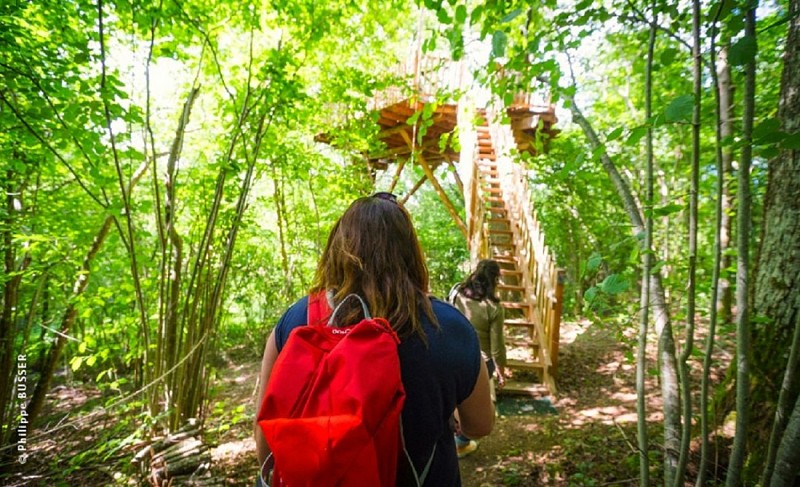 Natura Tazenat - Cabane Écureuil