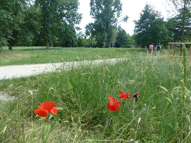 Parc de l'Ile des Impressionnistes印象派之岛公园，放松、欢庆的园地
