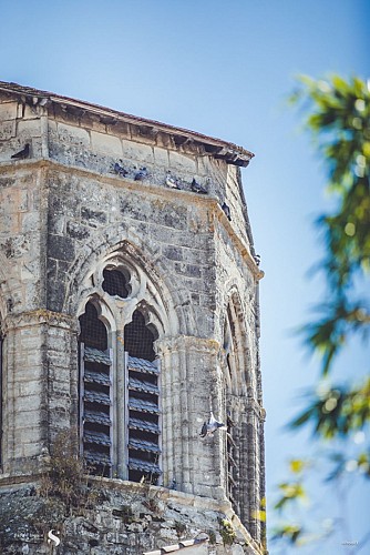 Charroux, la médiévale "Plus Beaux Villages de France"