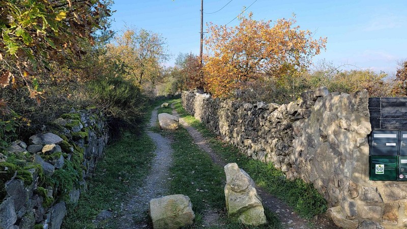 Chemin champêtre et bucolique