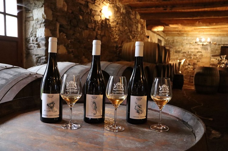 Château du Coing de Saint-Fiacre