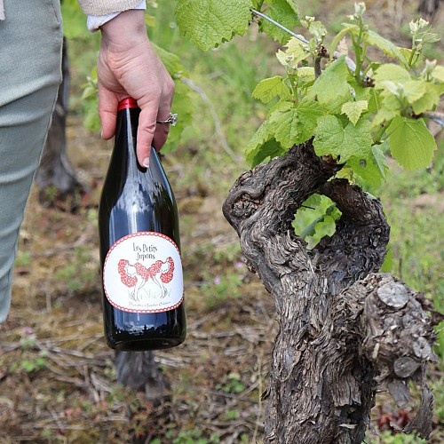 Château du Coing de Saint-Fiacre