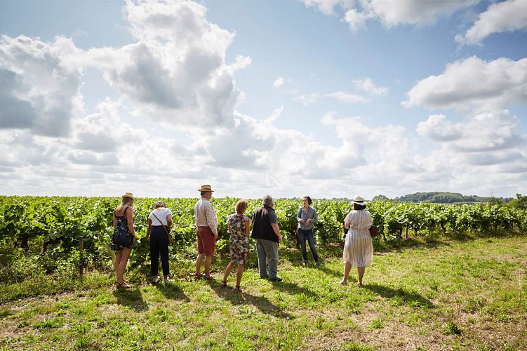 Dégustation et déjeuner dans l'orangerie du Château du Coing