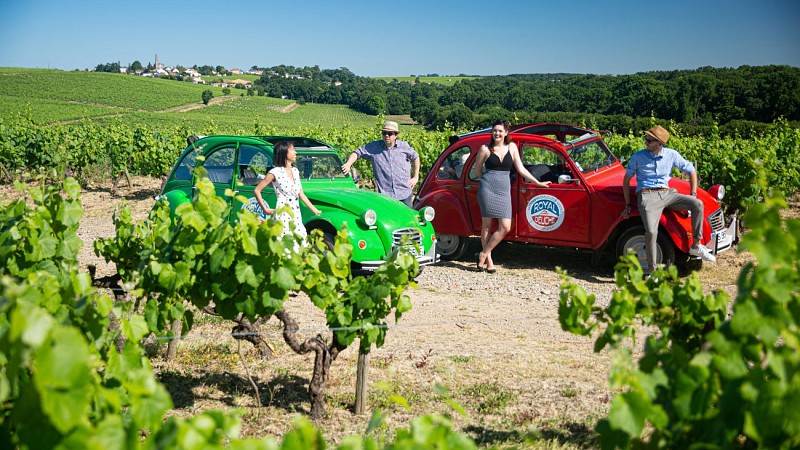Dégustation et déjeuner dans l'orangerie du Château du Coing