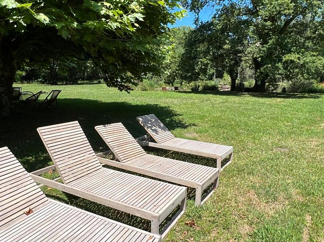 parc-chambres-hotes-felicita-saint-barthelemy2