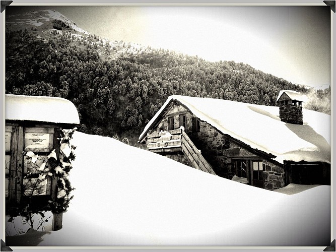 Restaurant du Refuge du Plan