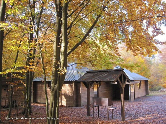 NG 23 Promenade du Laid Trou - Nassogne - Yellow diamond markings