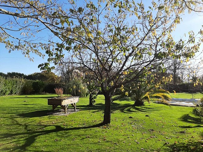 Budai - jardin verger