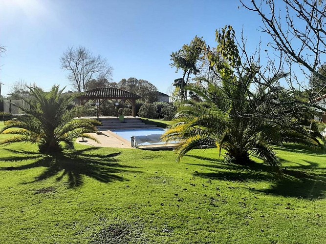 Budai - piscine jardin