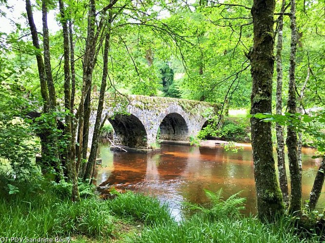 Pont de Claveyrolas à Nedde