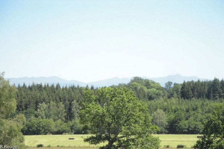 Massif du Sancy