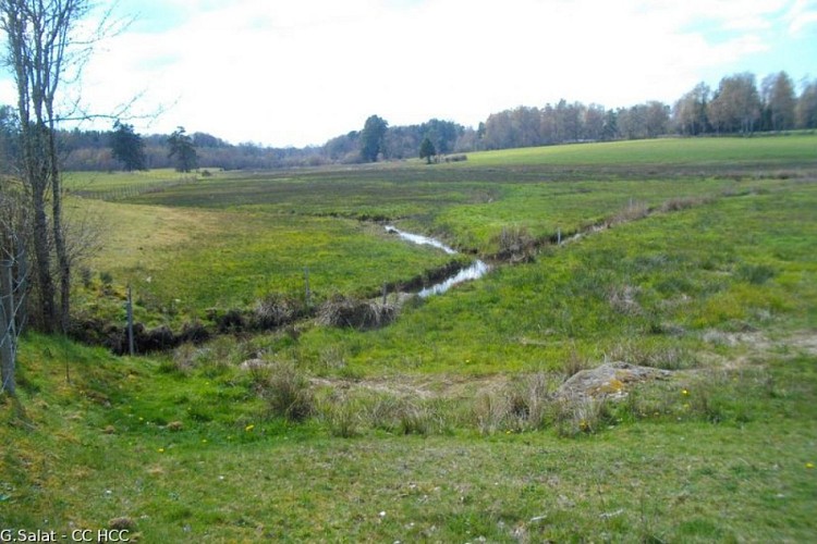 Tumulus of Manoux