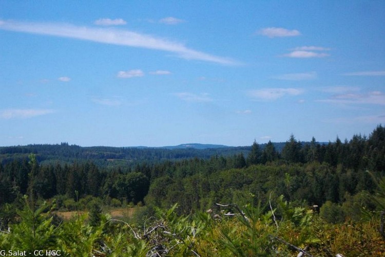 Panorama de Pellassiauve