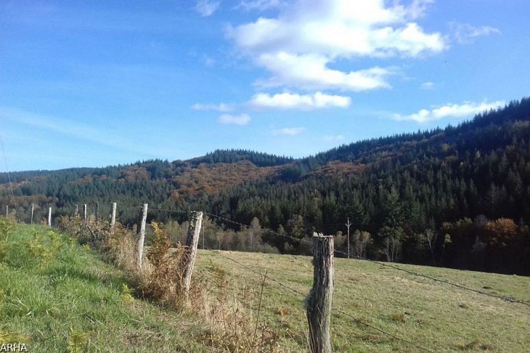 Massif de la Fageolle