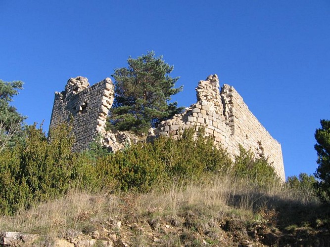 Les murs du château