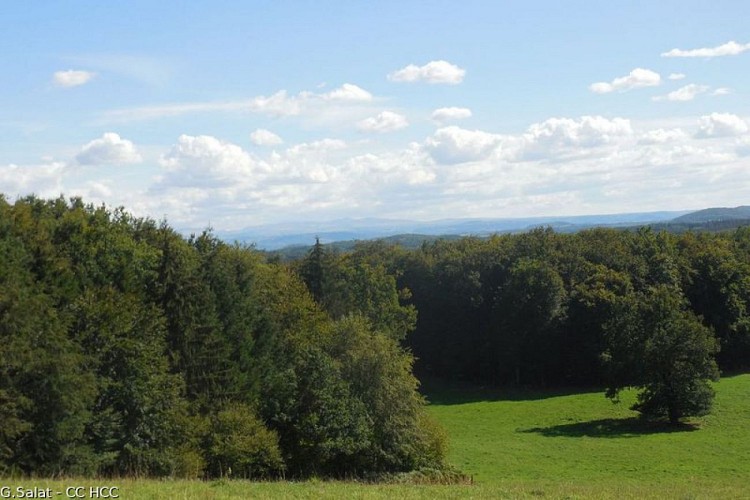 The Cantal Mountains