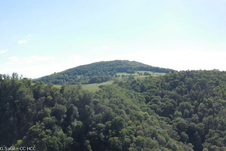 The Cantal Mountains