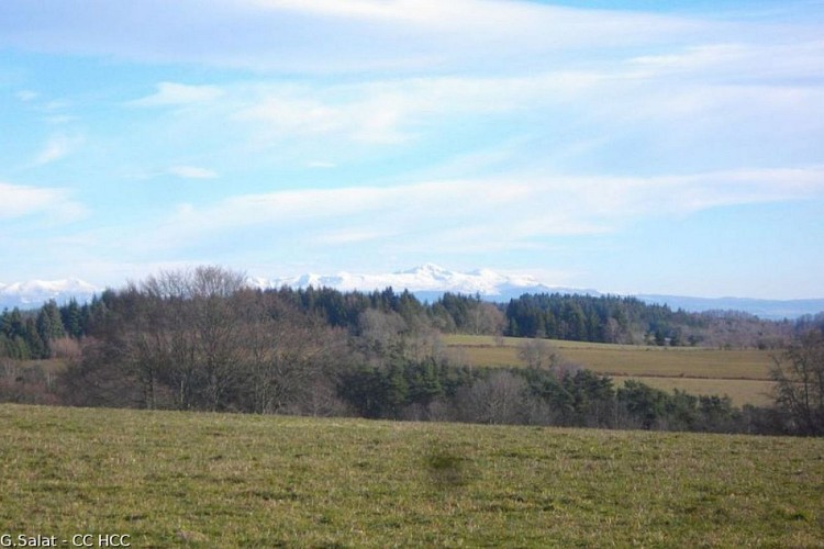 Le Massif du Sancy