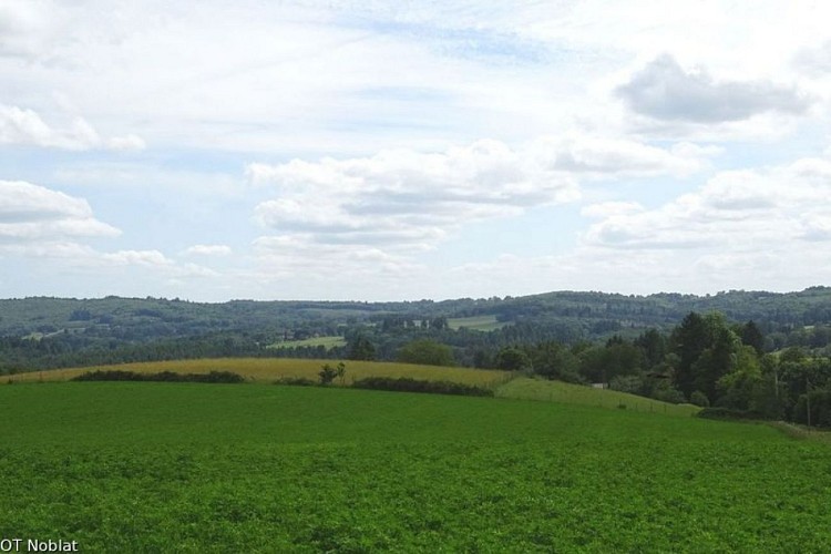 Point de vue au Puy Miallet