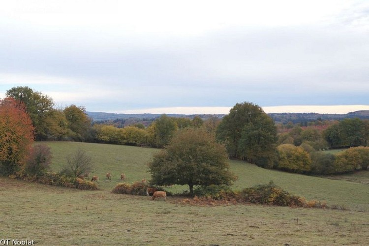Village de Chassagnat et point de vue