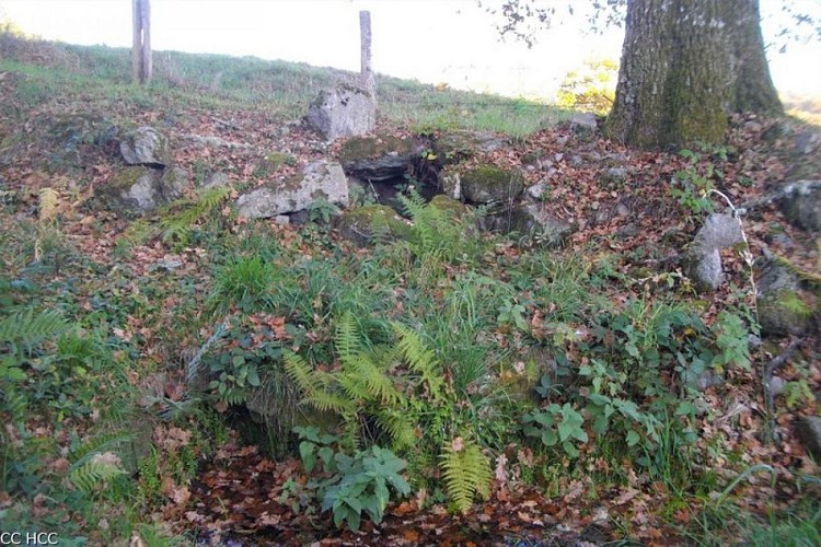 Le lavoir du Mas