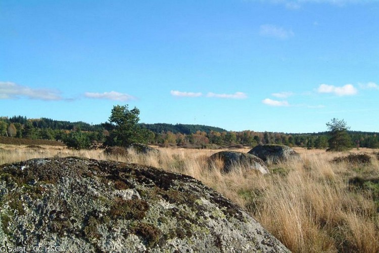 The Hundred Stones site