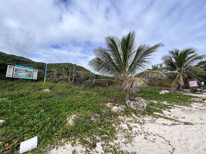 Bois Baron / Anse Maurice